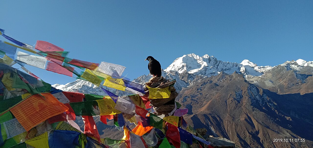 Langtang Valley Trek photo 9