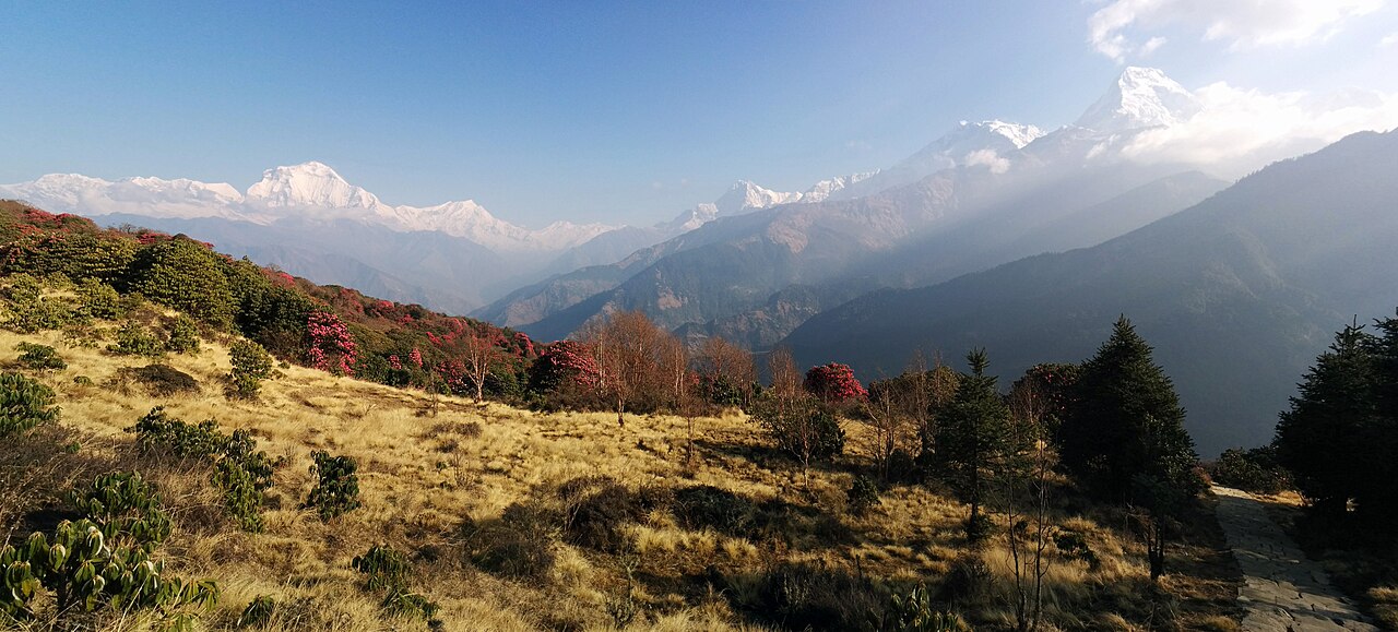 Ghorepani Poon Hill photo 5