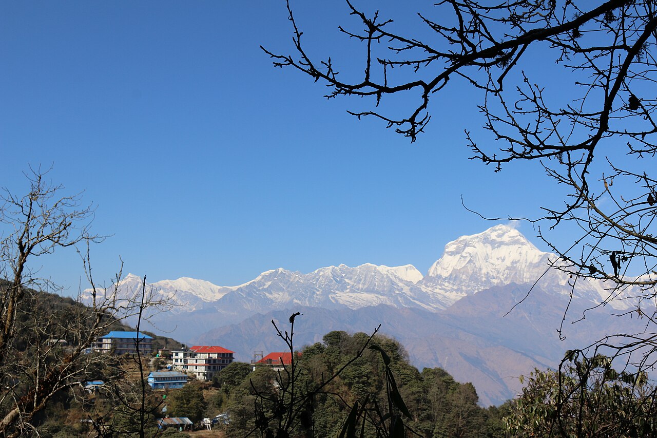 Ghorepani Poon Hill photo 10