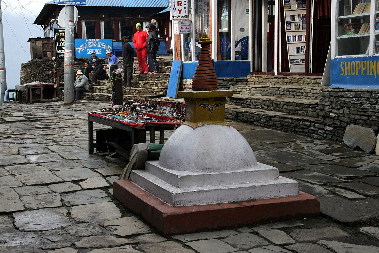 Ghorepani Poon Hill photo 11
